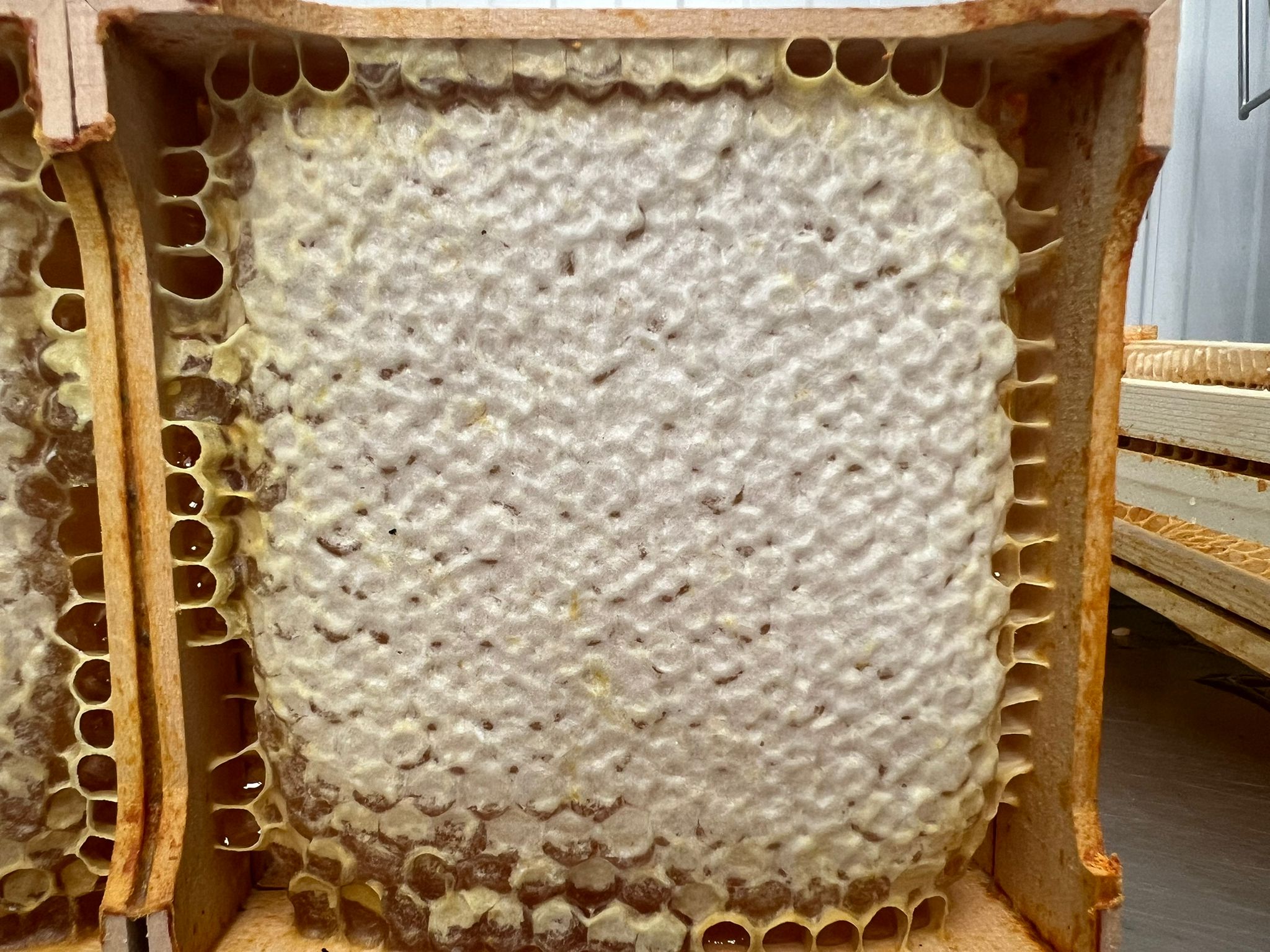 How to Store Honey Properly