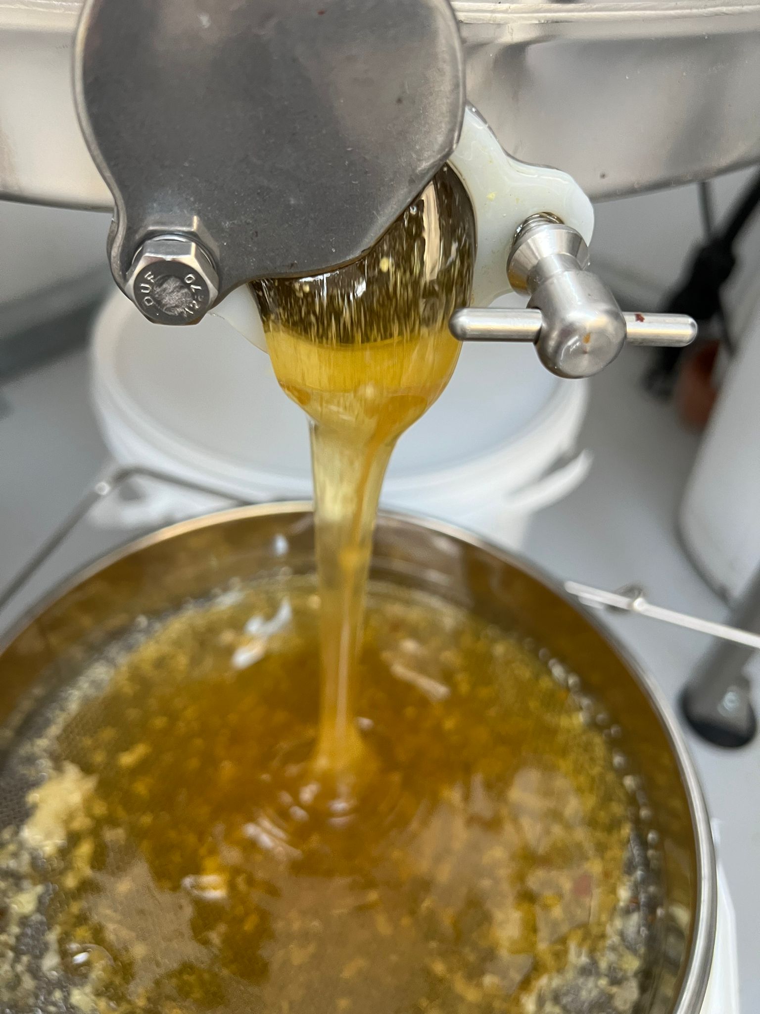 Extracting the honey, frame by frame